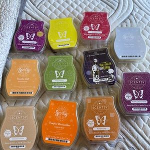 Scentsy Wax Melts